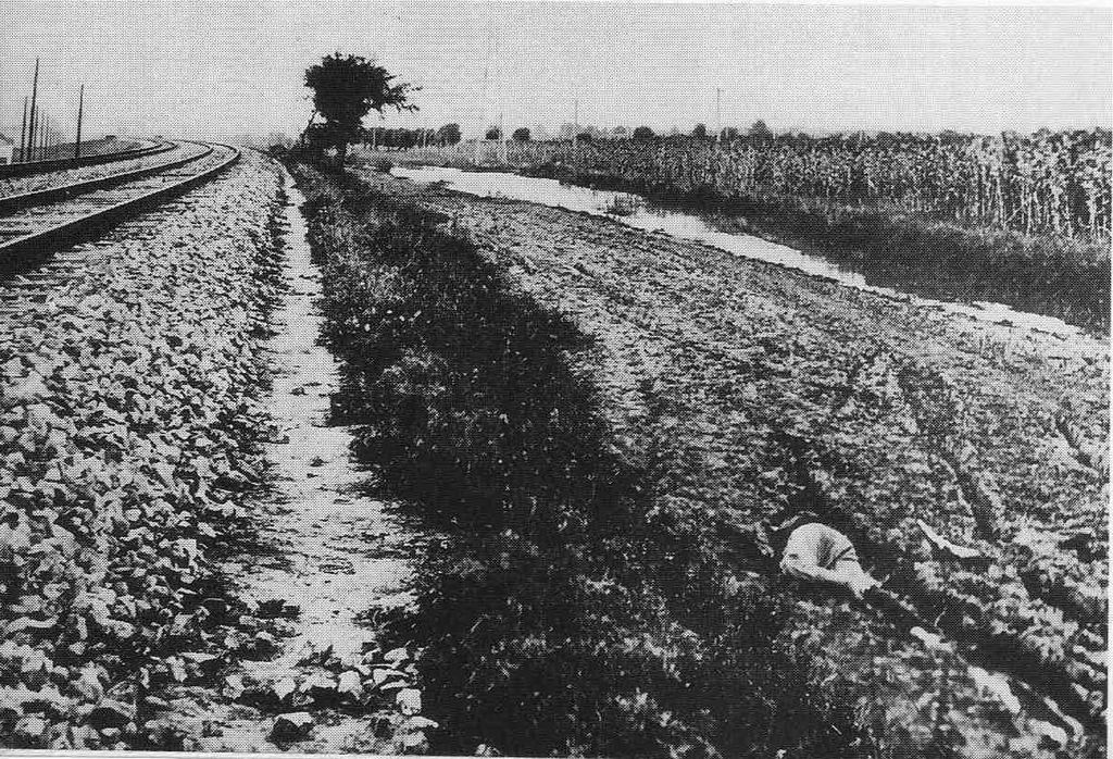 The Southern Manchuria Railroad post-explosion