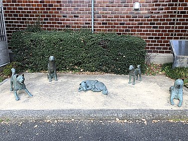 Statues surrounding the area where Tokugawa Tsunayoshi's dog sanctuary is supposed to have existed