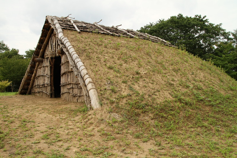 Pit dwelling with soil-covered roof