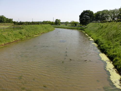 Site of Oda Castle's eastern moat